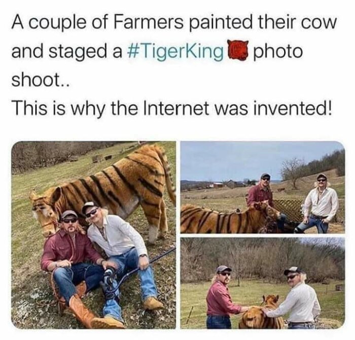 Två bönder målade en ko som en tiger för fotografering, antagligen inspirerad av "Tiger King".
