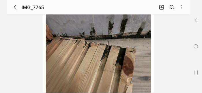 Gammal skadad trägolv och vägg med mögel, spikar synliga, renoveringsbehov.