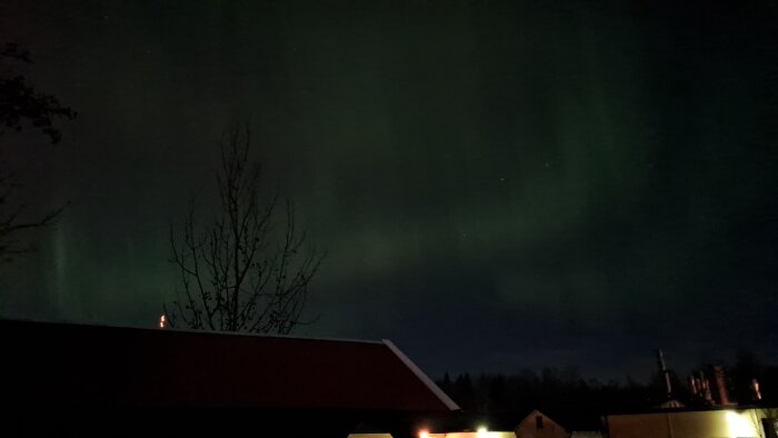 Nordljus över byggnader och träd, nattliga himmelfärger, lugn atmosfär, naturlig ljusshow.