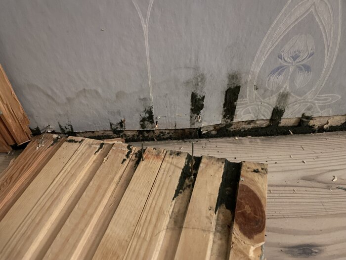 Mögel på vägg, skadade trägolvplankor, fuktproblem, renoveringsbehov.