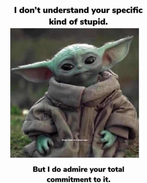 Ett meme med Grogu (känd som Baby Yoda), text som ironiskt hyllar någons dumhet.