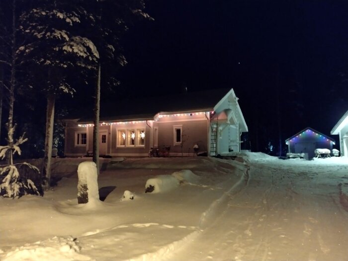 Vinterhus med julbelysning, snötäckta träd, mörk kväll, kallt, lugnt bostadsområde.