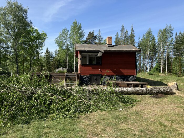 Rött trähus, grönska, avverkade träd, blå himmel, soligt, landsbygd, stenmur, vedhög, uteplats, natur.