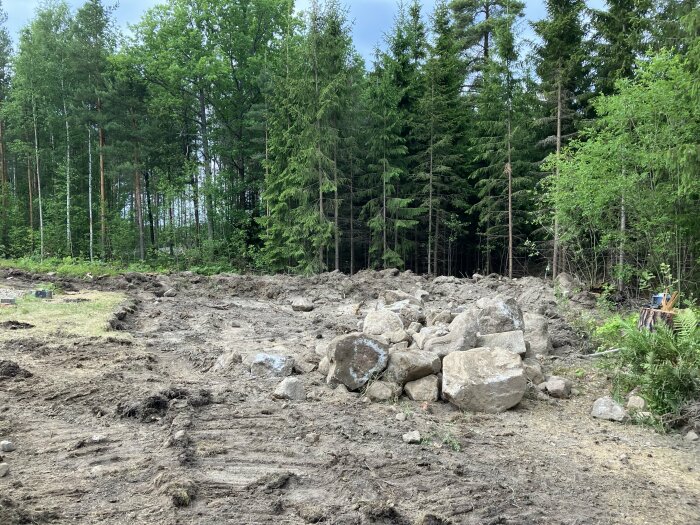 Markarbete, stora stenblock, skog i bakgrunden, grå molnig himmel, grön vegetation.