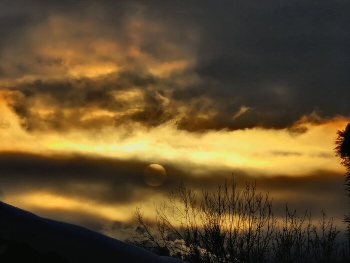 Dramatisk himmel med moln och solnedgång, silhuetter av träd och buskar, kontrasterande ljus och skuggor, varma nyanser.