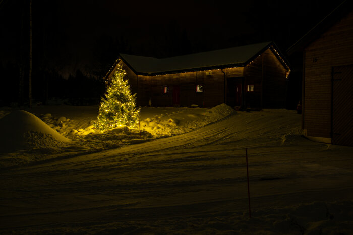 En upplyst julgran framför snötäckta trähus i mörk vinternatt.