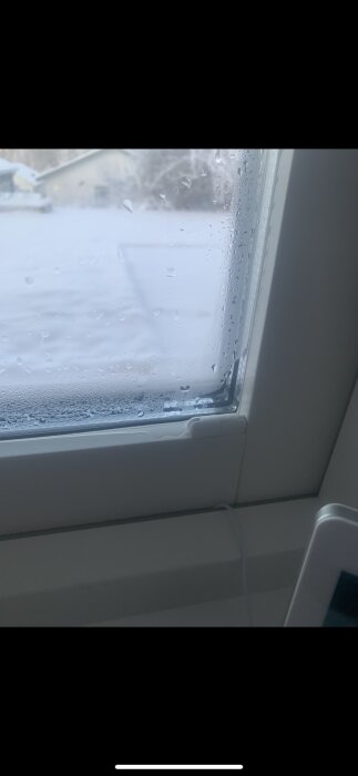 Kondens på ett fönster med utsikt över en snöig plats och hus.