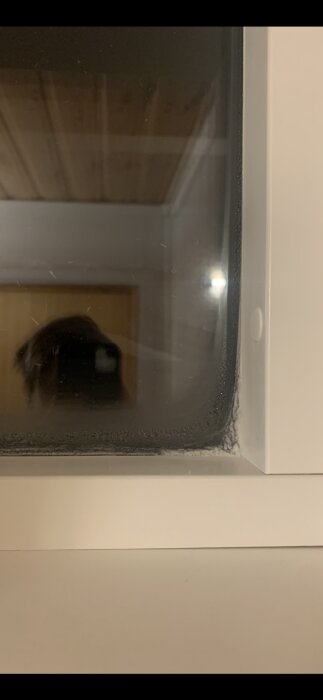 Ett fönster med kondens, en svart silhuett reflekteras, trästomme syns genom glaset.
