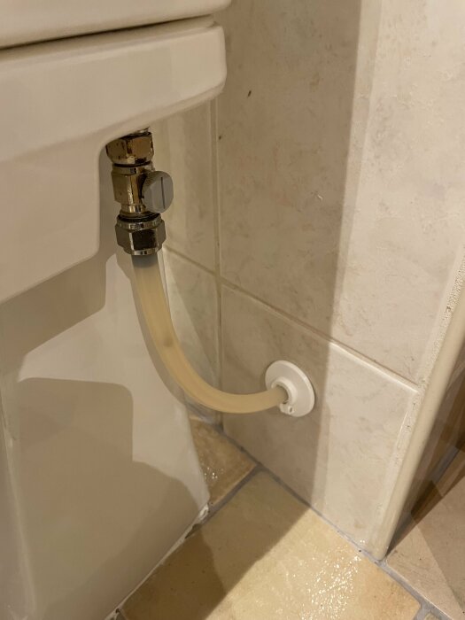 Toalett med kromad avstängningsventil och flexibel anslutningsslang till vit kakelvägg i badrum.