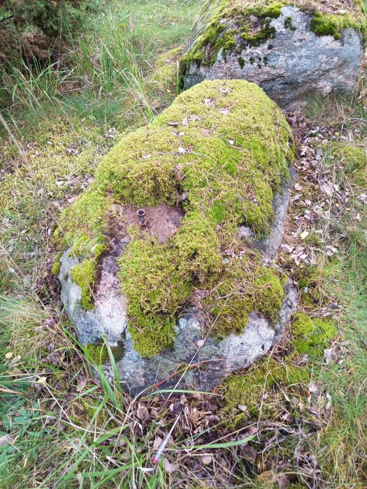 Stor sten täckt med mossa, omgiven av gräs och löv, ute i naturen.