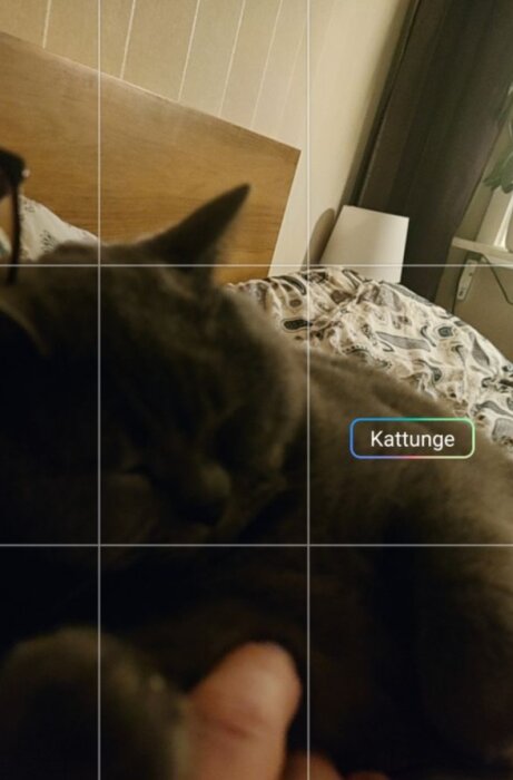 En sovande grå kattunge på en säng, delad bild, suddig förgrund, lugnt.