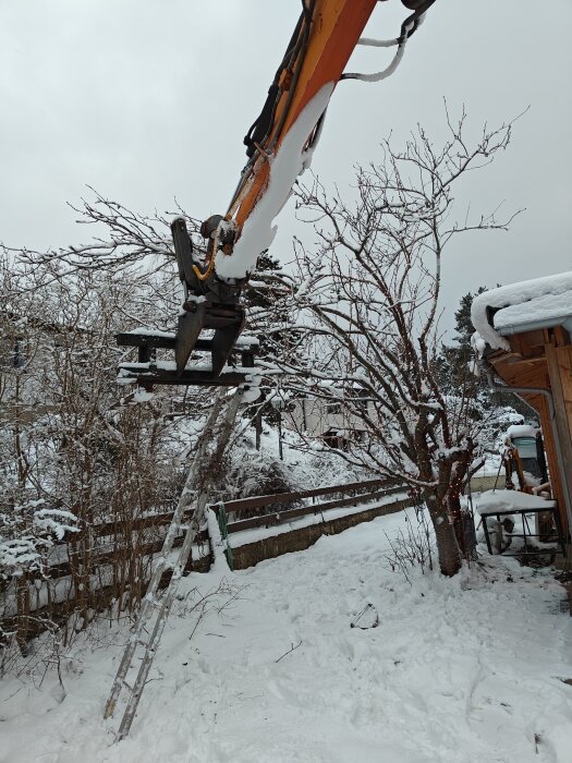 Grävmaskinsarm klipper trädgrenar, stege leder uppåt, snöig bakgård, molnig himmel, vinterdag.