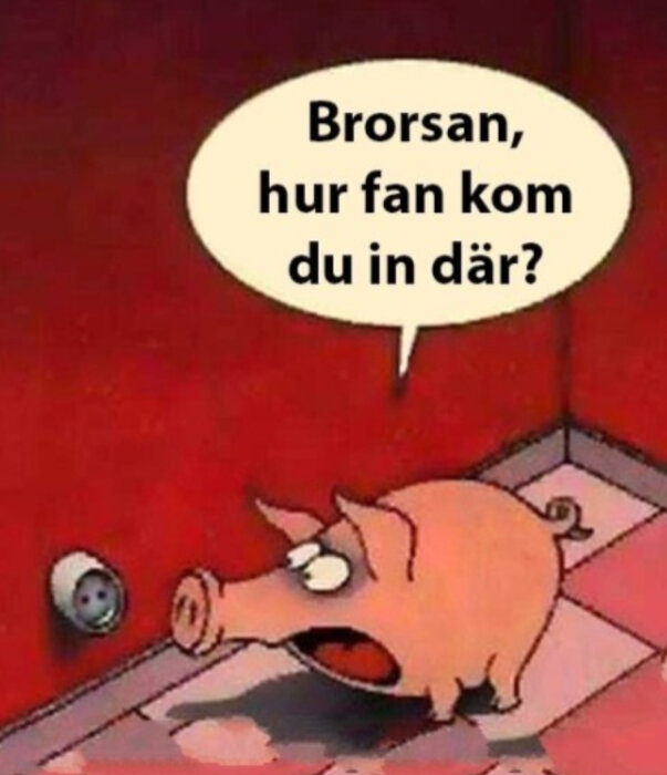 Ett förvånat tecknat gris ansikte genom dörröga, pratbubbla med svensk text, humoristisk, röd bakgrund.