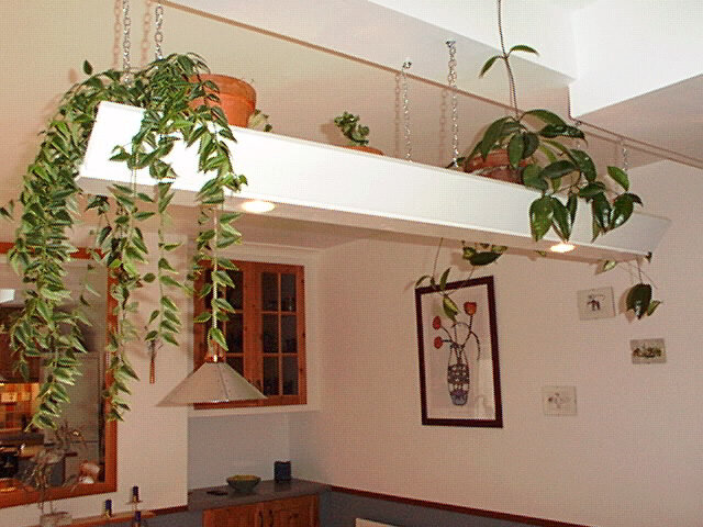 Inomhuskök med vit inredning, hängande växter, ljuskrona, fönster, konst och dekorativa föremål.