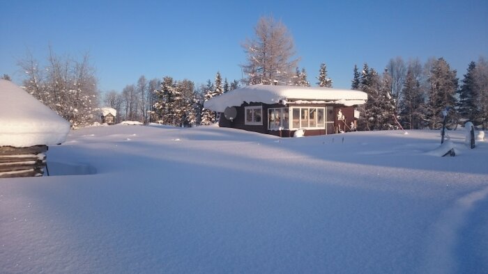 Vinterlandskap, snötäckt stuga, klarblå himmel, soligt, spegelblank snö, träd, stillhet, svenska lantliga miljöer.