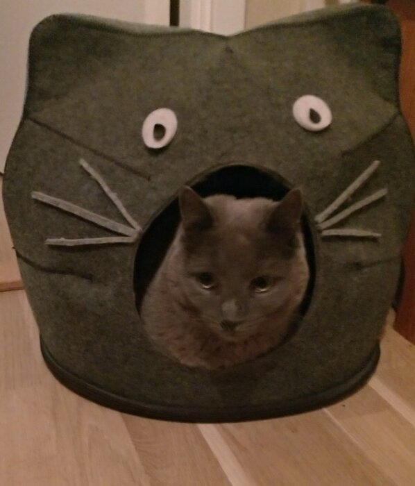 Grå katt sitter inuti ett hus-formad kattbädd, liknande en kattansikte.