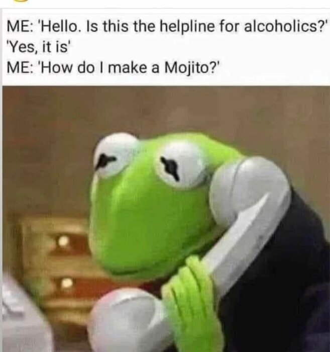 Kermit grodan håller i en telefon, text om alkoholrådgivning och hur man gör en Mojito. Humoristisk.