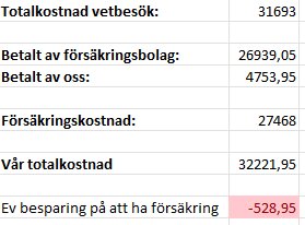 Tabell med kostnader för ett vårdärende, inkluderar försäkringsbolagets betalning och egen betalning. Negative besparing genom försäkring.