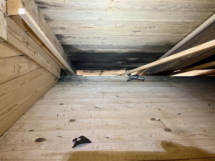 Inifrån en tom vind med träbjälkar, plywoodgolv och en sladd. Dustigt, oinrett, tomrum under taknocken.