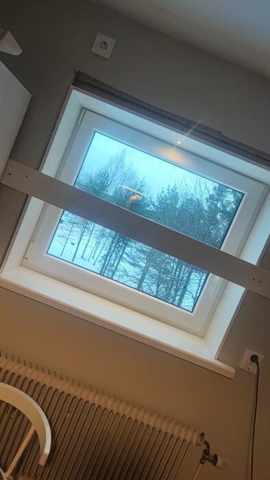 Fönstervy av träd och snö, rum med element, omkullvält fågelhus, bildtagen inomhus, lutande perspektiv.