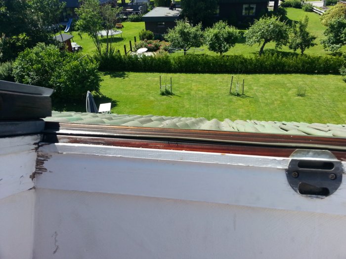 20130630_114935.jpg
