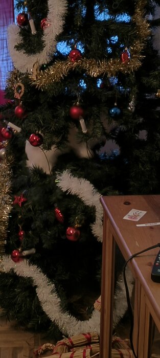 En julgran dekorerad med röda och blå kulor, vit girland, och strålande ljus nära ett träbord.