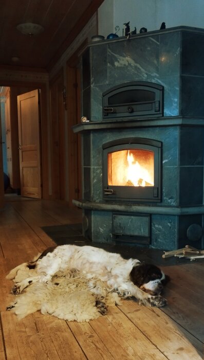 En hund vilar på ett trägolv framför en brinnande kakelugn i ett hemtrevligt rum.