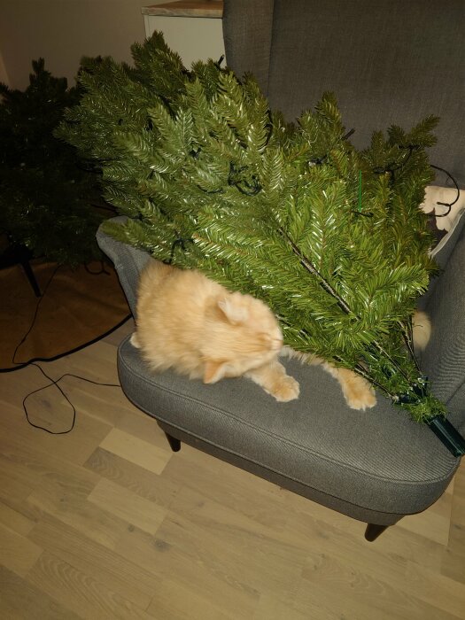 En orange katt på en grå stol och en julgran som ligger ner.
