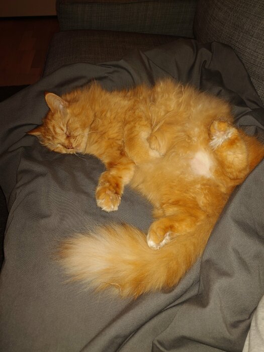 En orange katt sover avslappnat på en grå soffa med benen i vädret.