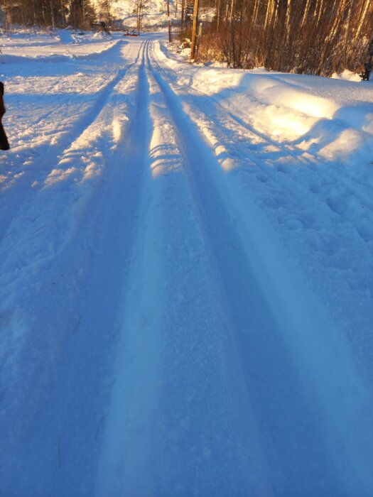 Vinterscen med skidspår genom snötäckt landskap i solnedgång.