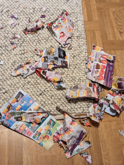 Rivna reklamblad utspridda över en matta och ett trägolv. Rörigt, vardagskaos eller djurstreger.