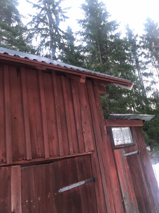 Rödfärgad träbyggnad med fönster, i skymning, snö, skogsbakgrund. Korrugerat tak. Gardiner med hjärtmotiv i fönstret.