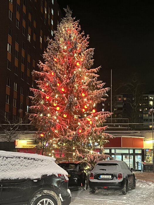 Snötäckt gran med röda ljus, parkerade bilar, kväll, stadsbakgrund, vinteratmosfär.