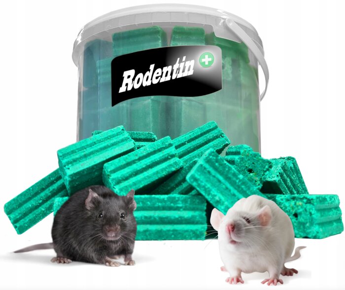 En behållare märkt "Rodentin", två gnagare, och gröna block utspridda framför.