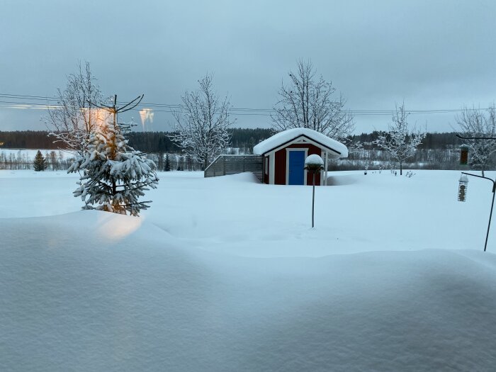 Snötäckt landskap, litet hus, träd, mulet, vinter, skymningsljus, stillhet, snödrivor, kyligt.