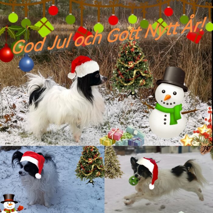 Ett collage med hundar, juldekorationer, texten "God Jul och Gott Nytt År!", snögubbe, gran och presenter.