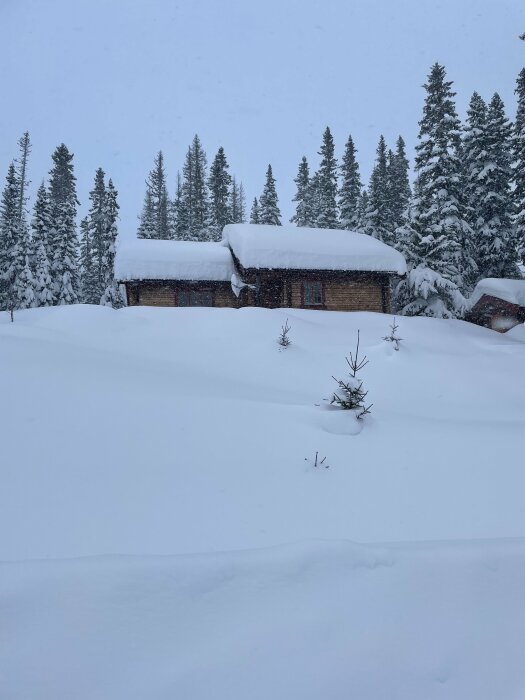 Stuga täckt med tjockt snötäcke bland snöklädda träd under en grå himmel.