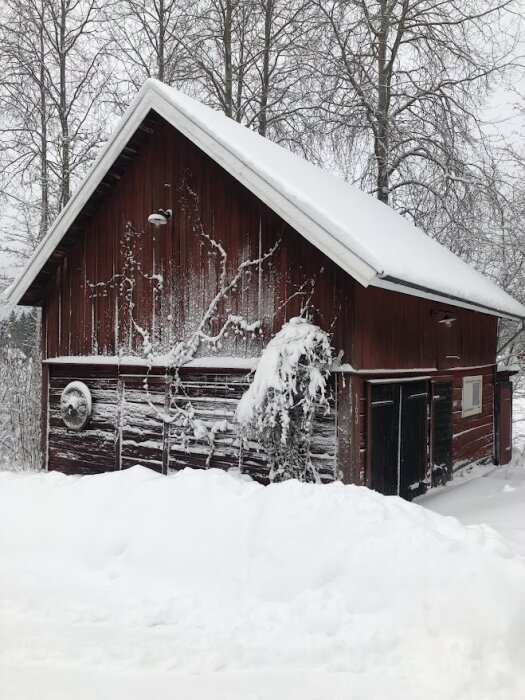 Röd stuga täckt med snö, vinterlandskap, vita tjocka snödrivor, träd i bakgrunden, taket snötäckt.