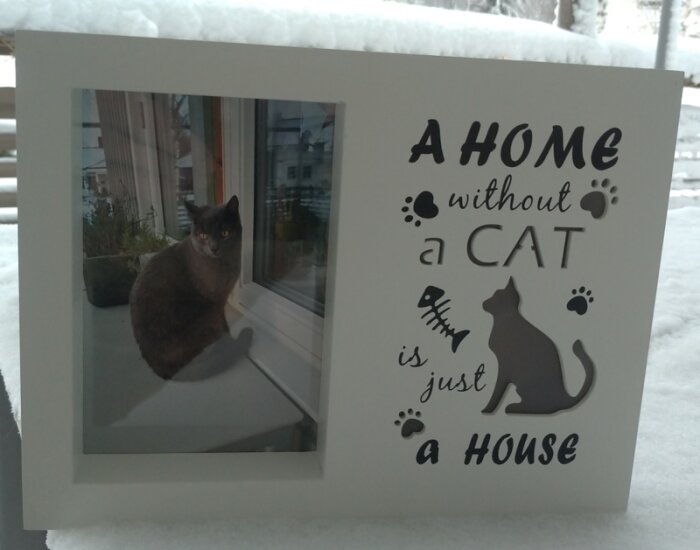 En grå katt inne i en vit ram med texten "A HOME without a CAT is just a HOUSE" omgiven av snö.