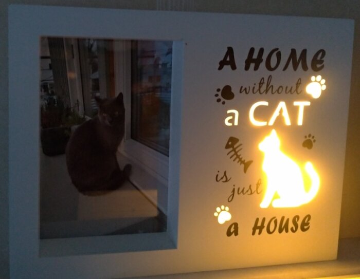 Ljusskylt med texten "A HOME without a CAT is just a HOUSE" och bild på katt.