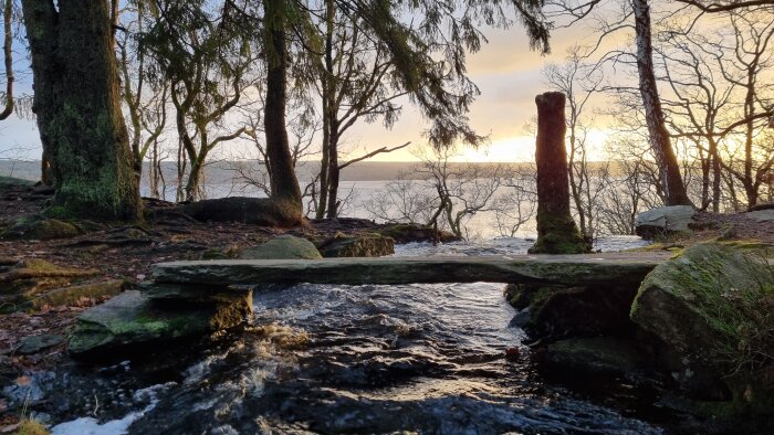 Skogsmiljö vid kvällstid med rinnande vatten, stenbro, mossbeklädda träd och en sjö i bakgrunden.