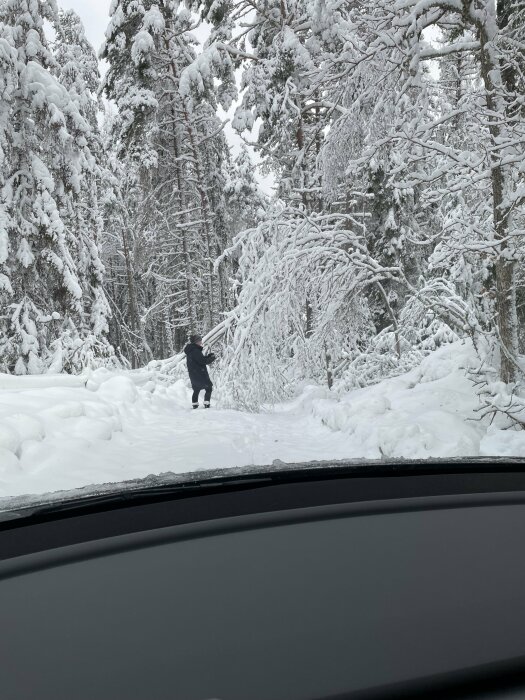 En person vandrar i snötäckt skog synlig från bilens insida.