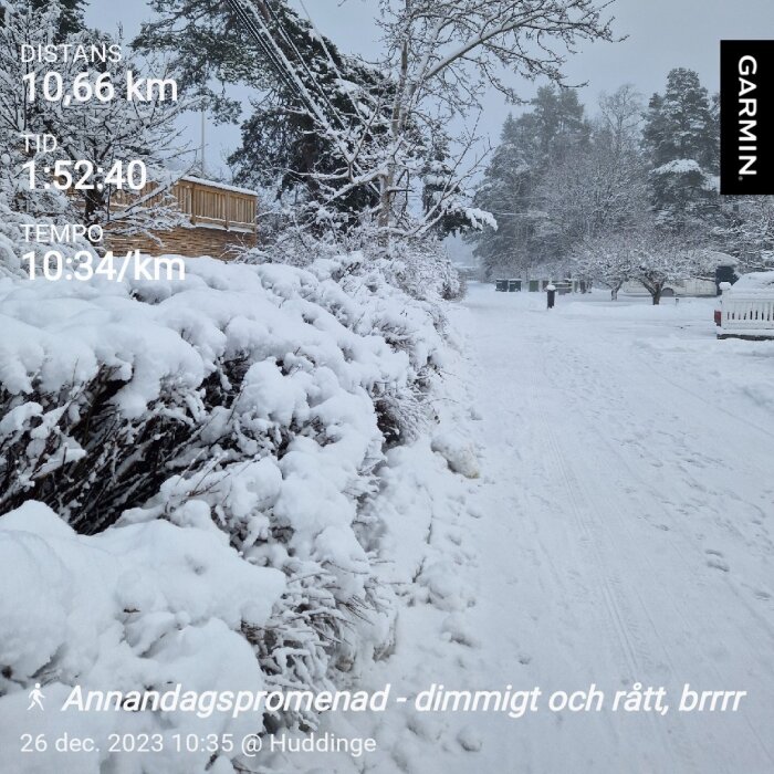 Snötäckt landskap, träd, promenadväg, dimmigt, statistik för promenad, dag och plats märkt.