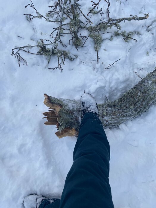 Person står i snö, vinterväder, brutet trädgren, snötäckt mark, utomhus, osynligt ansikte.