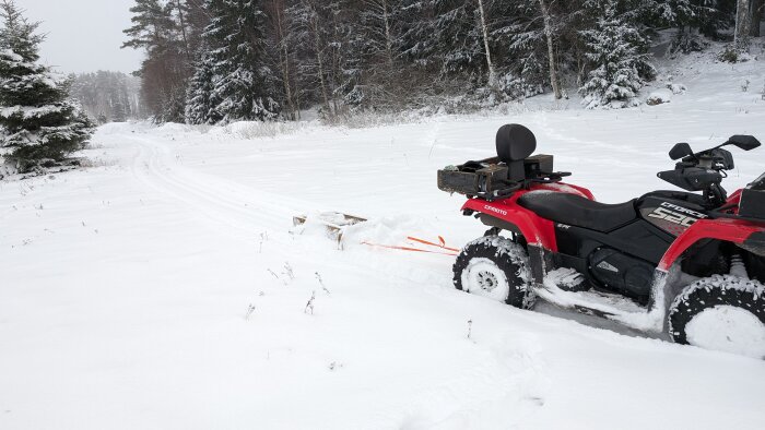 En röd fyrhjuling parkerad i snötäckt terräng med skog i bakgrunden, spår i snön.