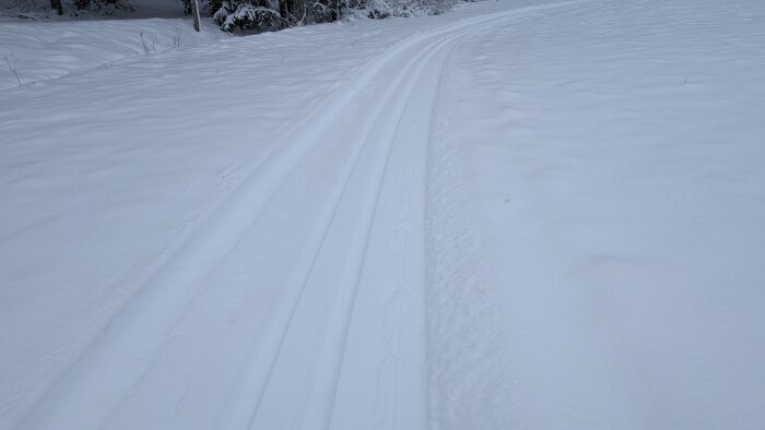 Spår i snö, skidåkning, vinterlandskap, kallt, natur, orört, skog i bakgrunden, dämpade färger.