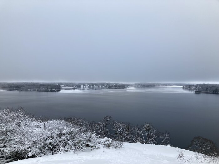 Vinterlandskap, snöklädda träd, frusen sjö, dimma, lugnt, kyla, bleka färger, ödslighet, stillhet.