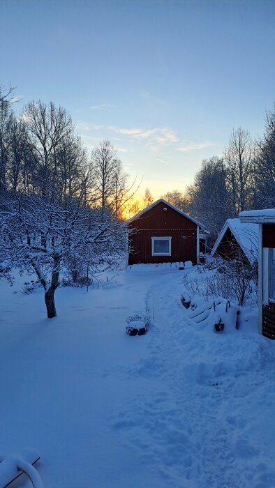 Snötäckt trädgård vid solnedgång, stig, träd, röda hus, lugnt vinterlandskap.