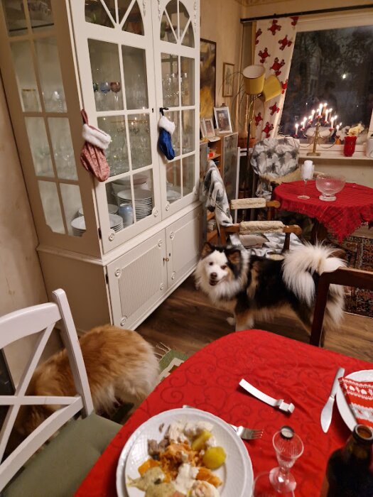 Mysig middagsrumsmiljö med hund, juldekorationer, tända ljus, mat på bordet och vitrinskåp.