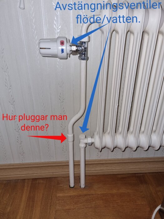 Väggmonterad radiator, termostatventil, rörledningar, fråga om pluggning, avstängningsventiler för vattenflöde.